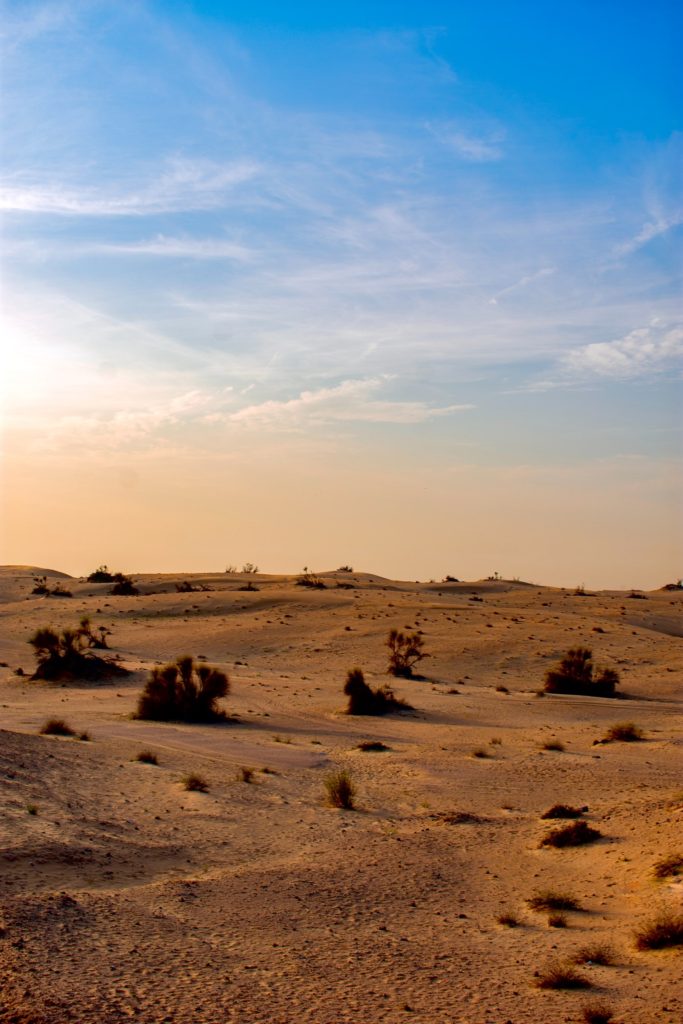 Photo of Desert in Dubai.