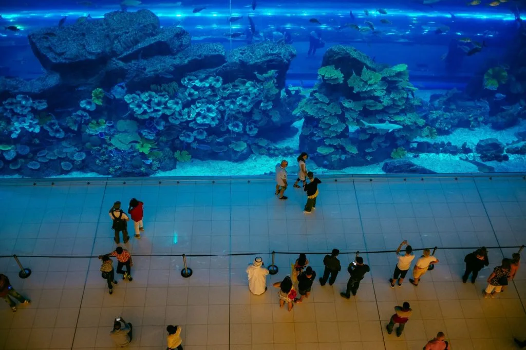 Photo of Dubai Aquarium.