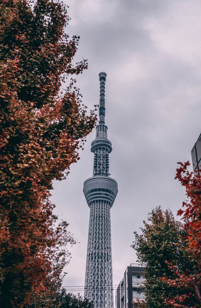 Places to include in your Japan itinerary Number 10 -  Iconic Sky Tree.