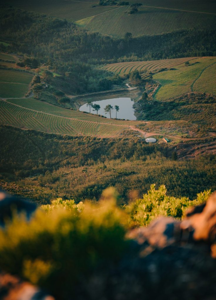 Photo of scenic backdrop at Stellenbosch.