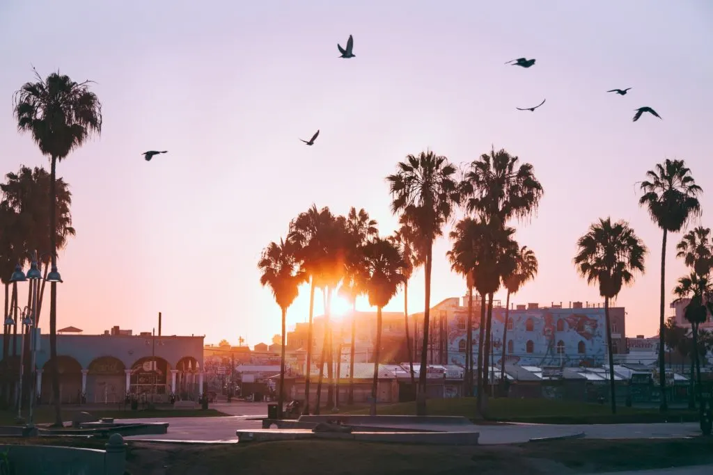 Things to do in California Number 1 - Venice Beach