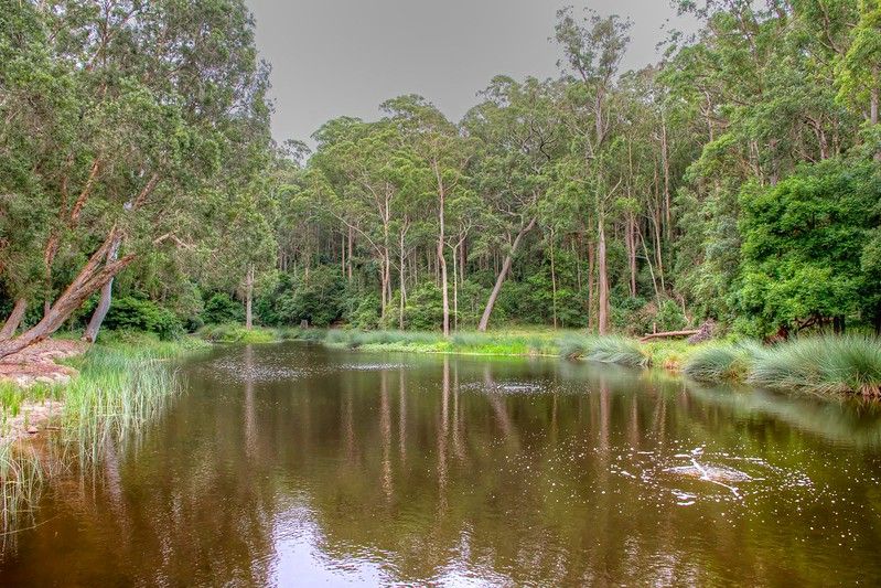 Things to do in newcastle Number 3 - Explore Blackbutt Reserve