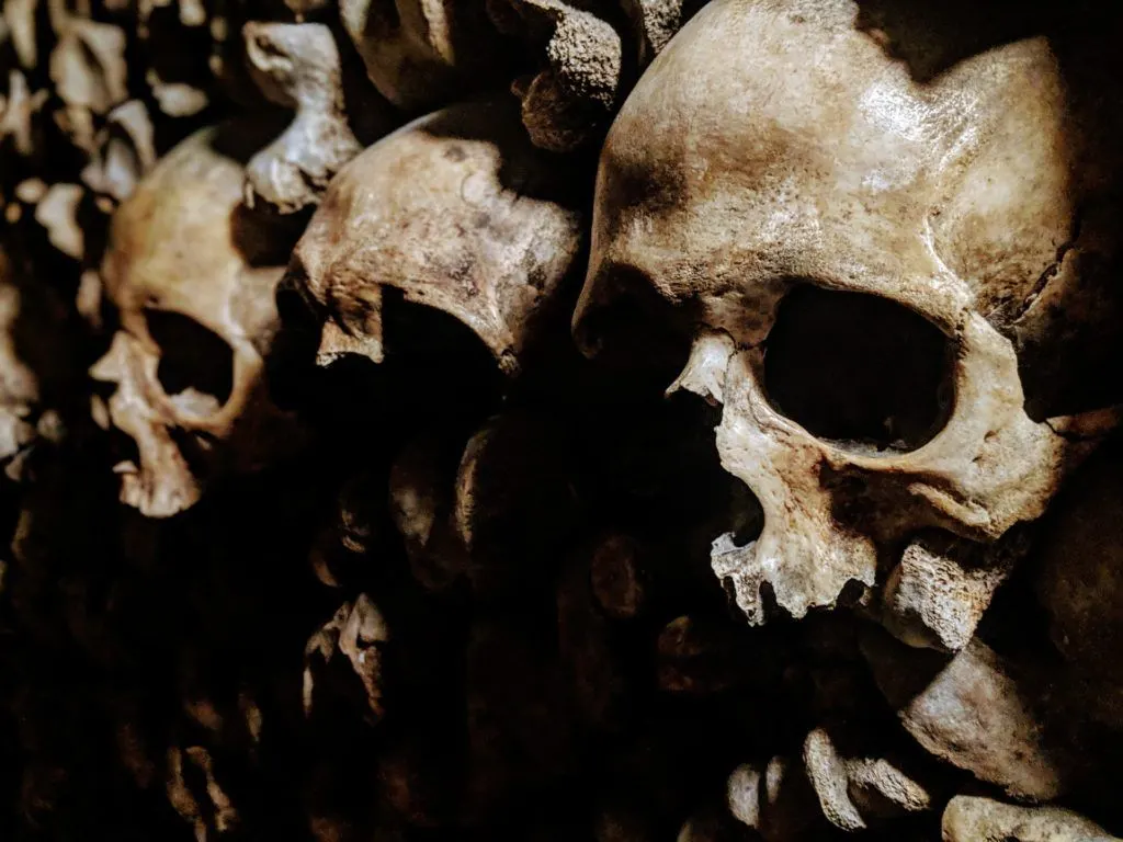 Things to do in Fravce - Visit the Catacombs