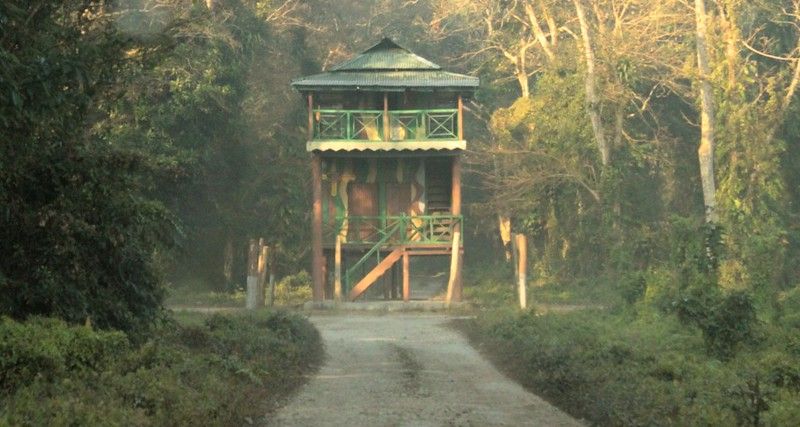 Forest Rest House - Chilapata Forest