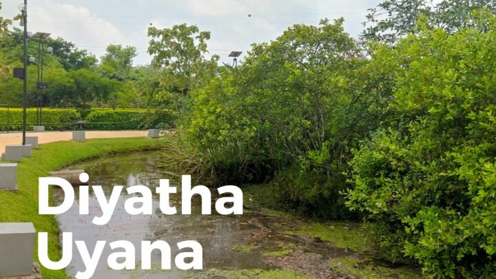 Diyatha Uyana Cover