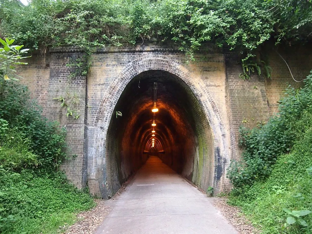 Image of Tunnel at Fernleigh Track