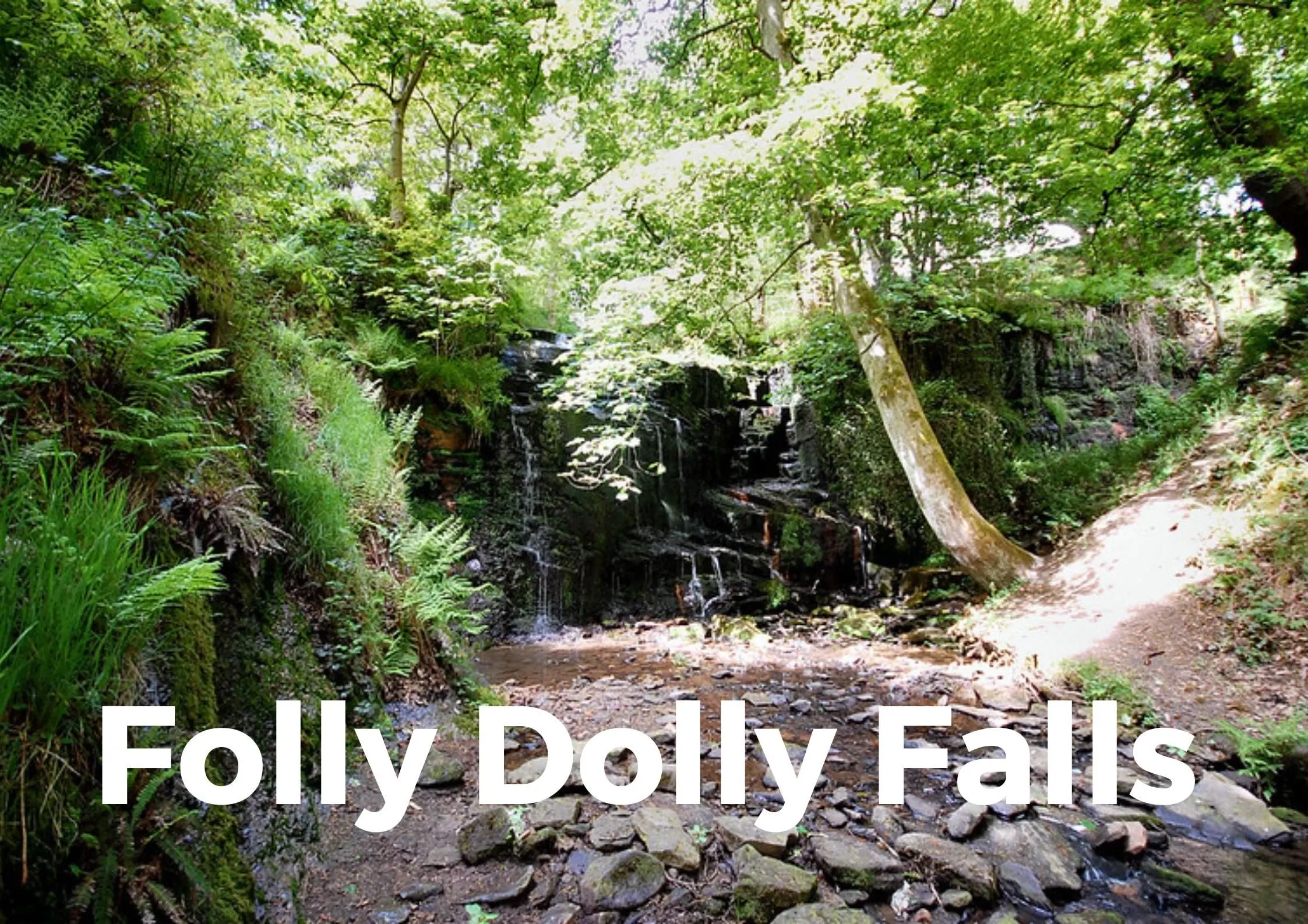 Folly Dolly Falls