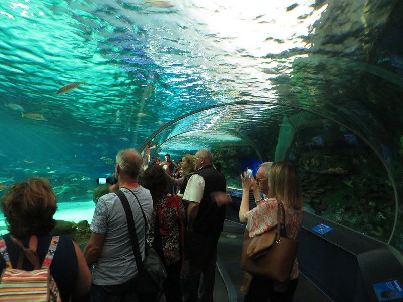 Places to visit in Canada Number 9 - Ripleys Aquarium