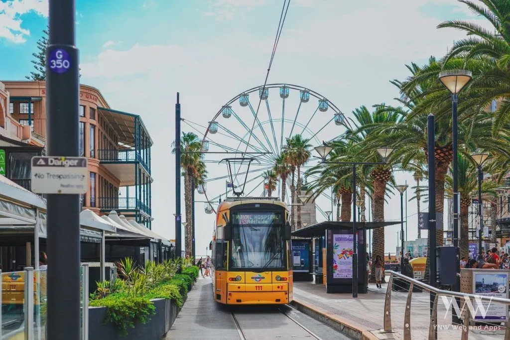 Things to do in Adelaide Number 1 - Explore City on Glenelg Trams