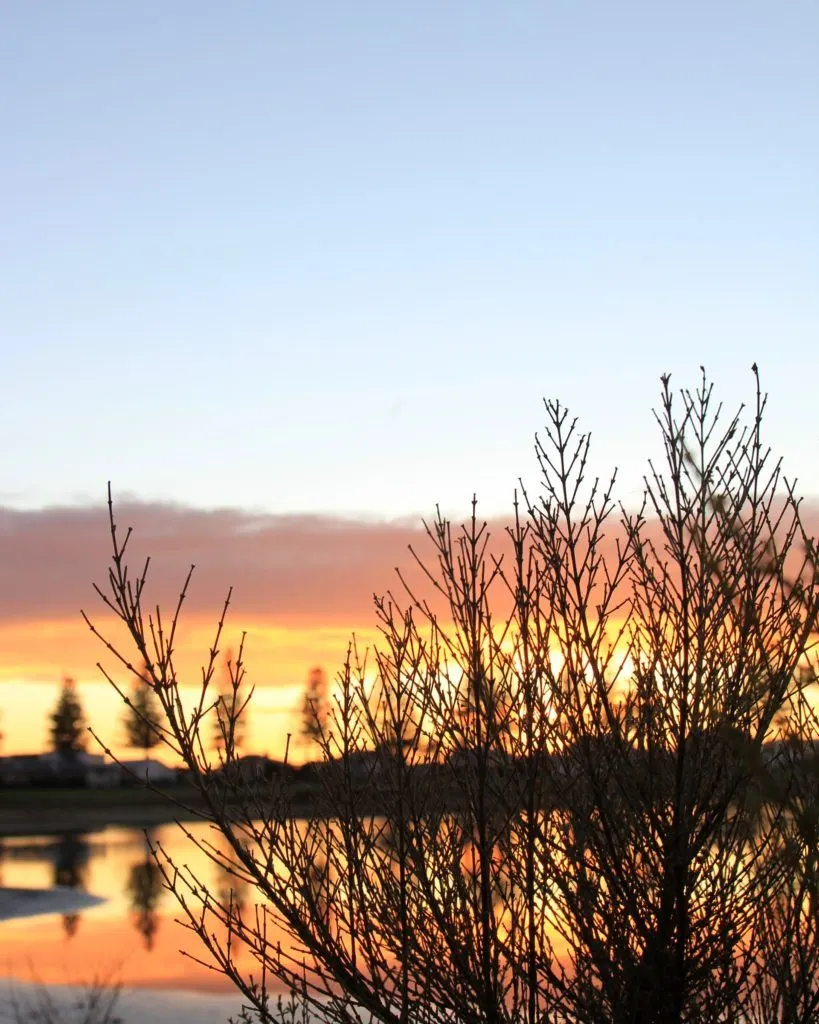 Photo of Sunset at Hawke's Bay