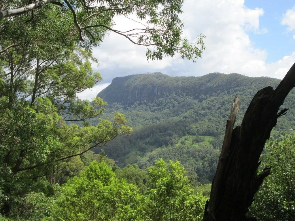 Things to do in Gold Coast Number 6 -Wonder around in Hinterland