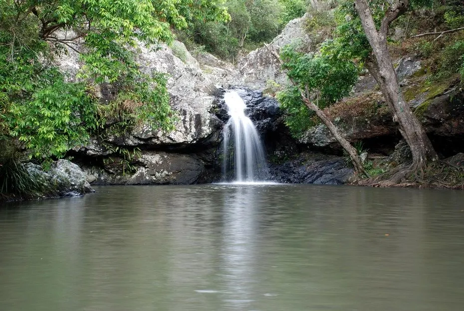 Photo of  Kondalilla falls