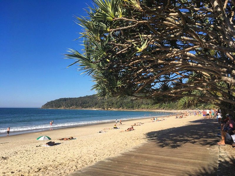 Things to do in Sunshine Coast Number 4 - Noosa Main Beach