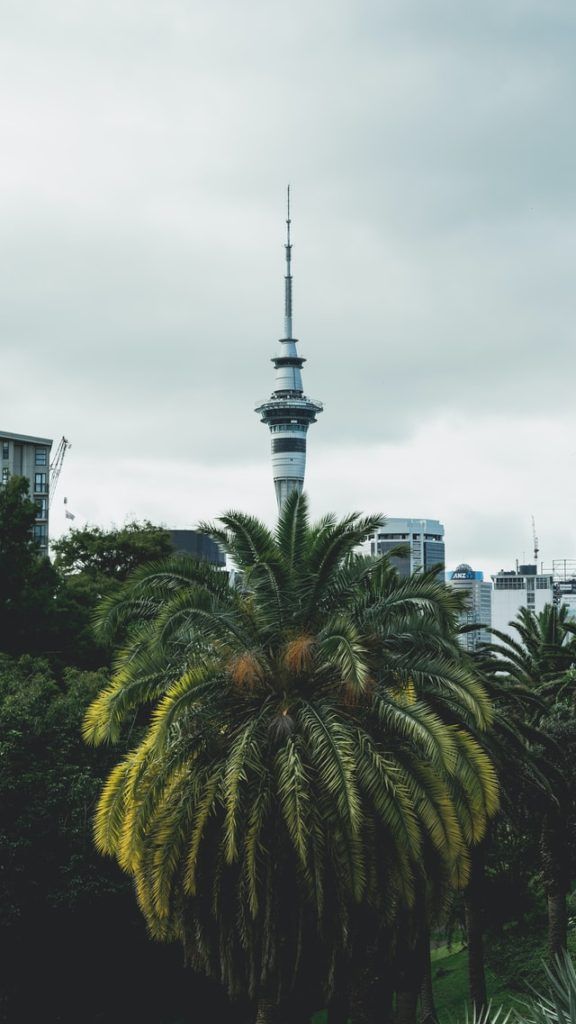 New Zealand Itinerary Place 10 - Sky Tower in Auckland