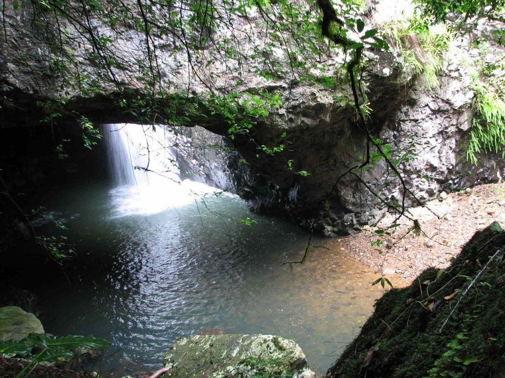 Photo of Cave in Springbrook National Park