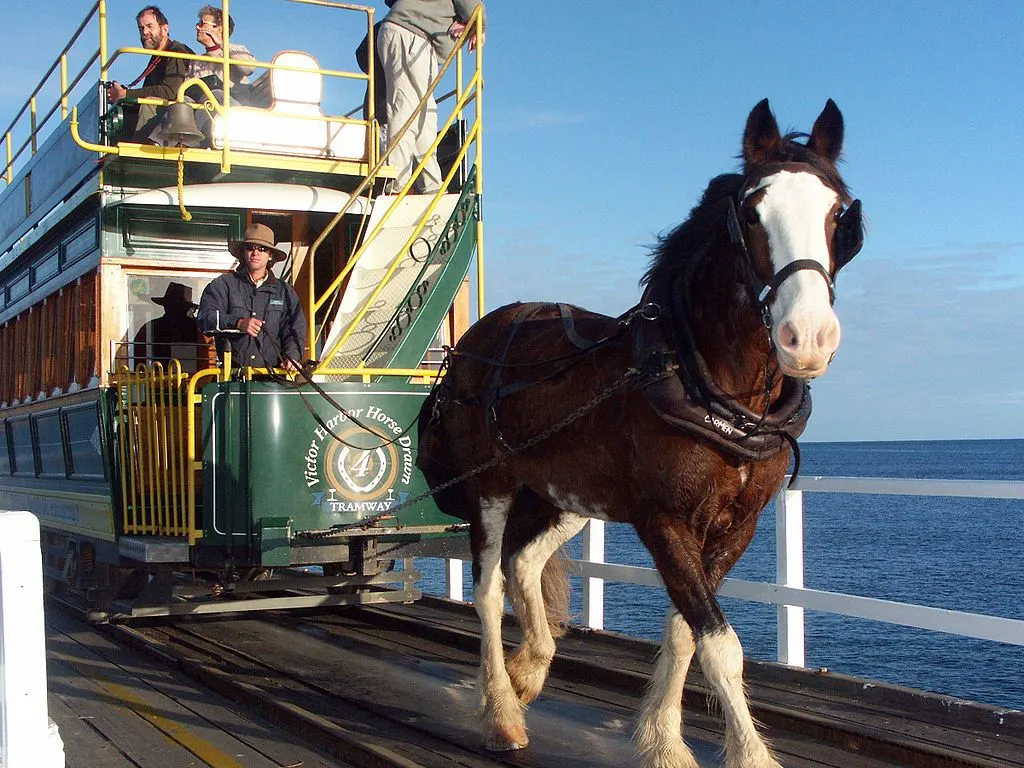 Horse Tram at Victor Harbor