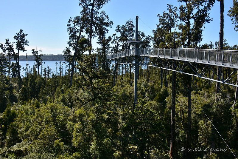Things to do in Hokitika Number 3 - West Coast Tree Top Walk
