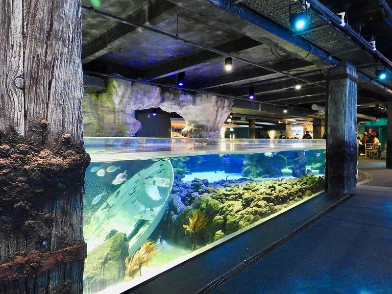 Things to do in Auckland Number 6 -  Sea Life Kelly Tarlton's Aquarium