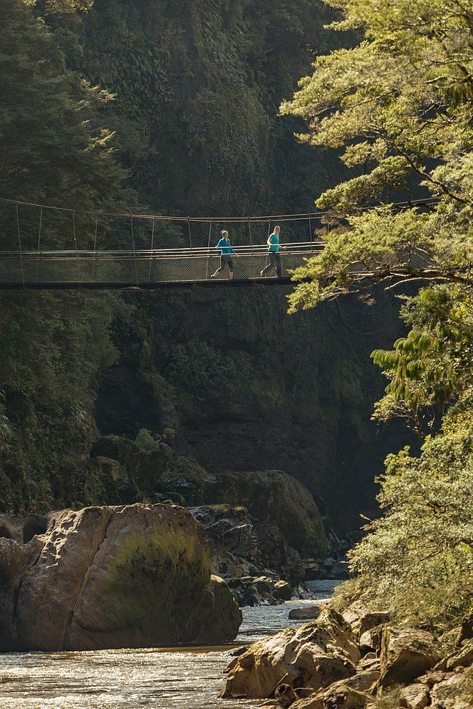 Suspension bridge at Charming Creek Walkway