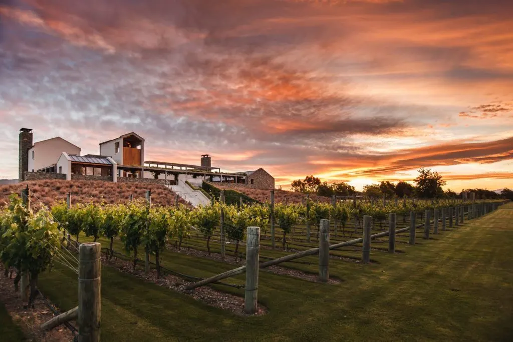Things to do in Blenheim Number 4 - Wither Hills Cellar Door
