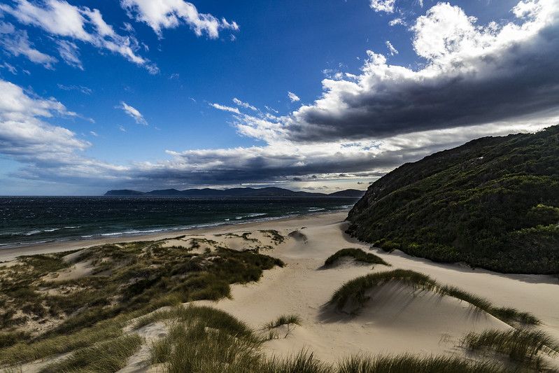 Tasmania Island Landscape