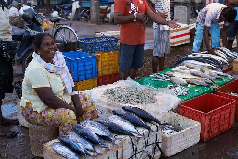 Woman selling fish at Negombo Fish Market