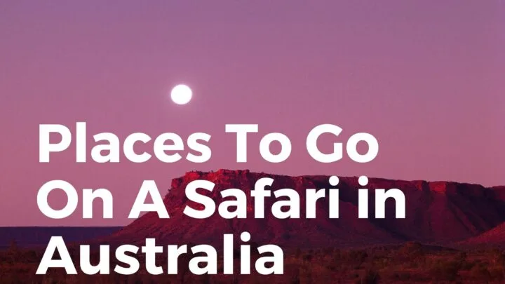 Safari Places in Australia