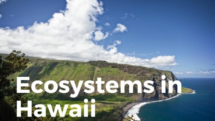 Ecosystems In Hawaii