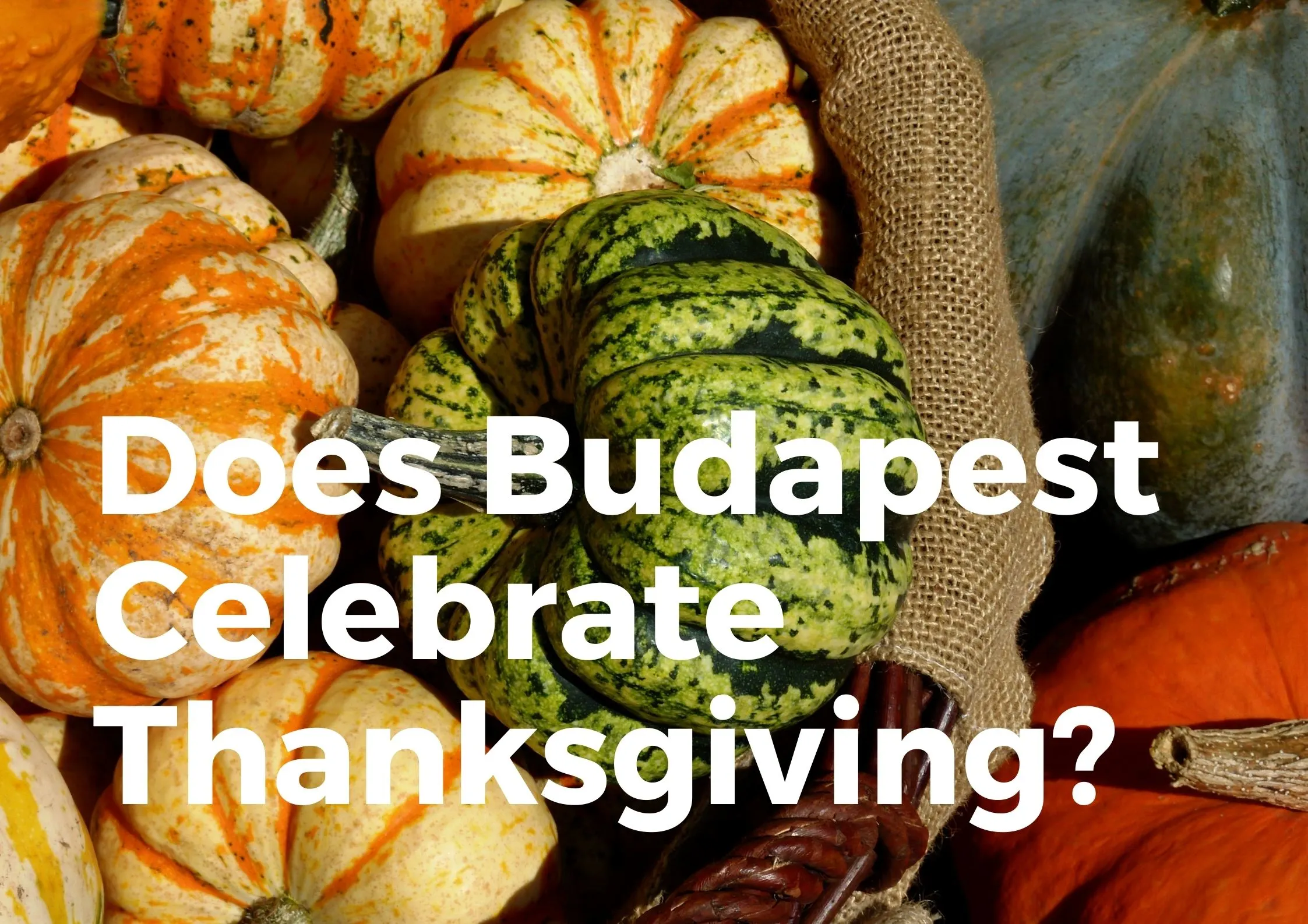 Does Budapest Celebrate Thanksgiving