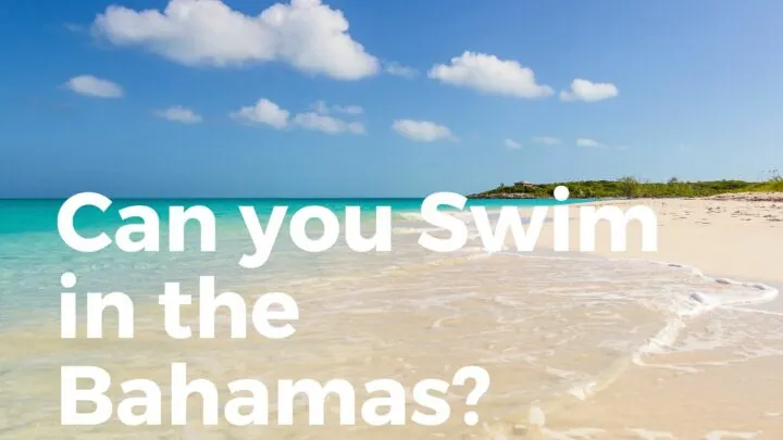 Can you swim in the bahamas