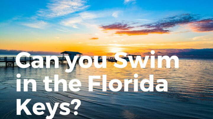 Can You Swim In The Florida Keys? (ALL You Need To Know)