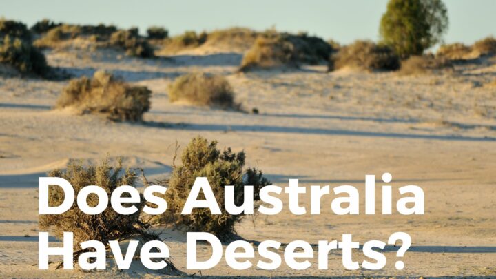 Does Australia Have Deserts? (All You NEED To Know!)