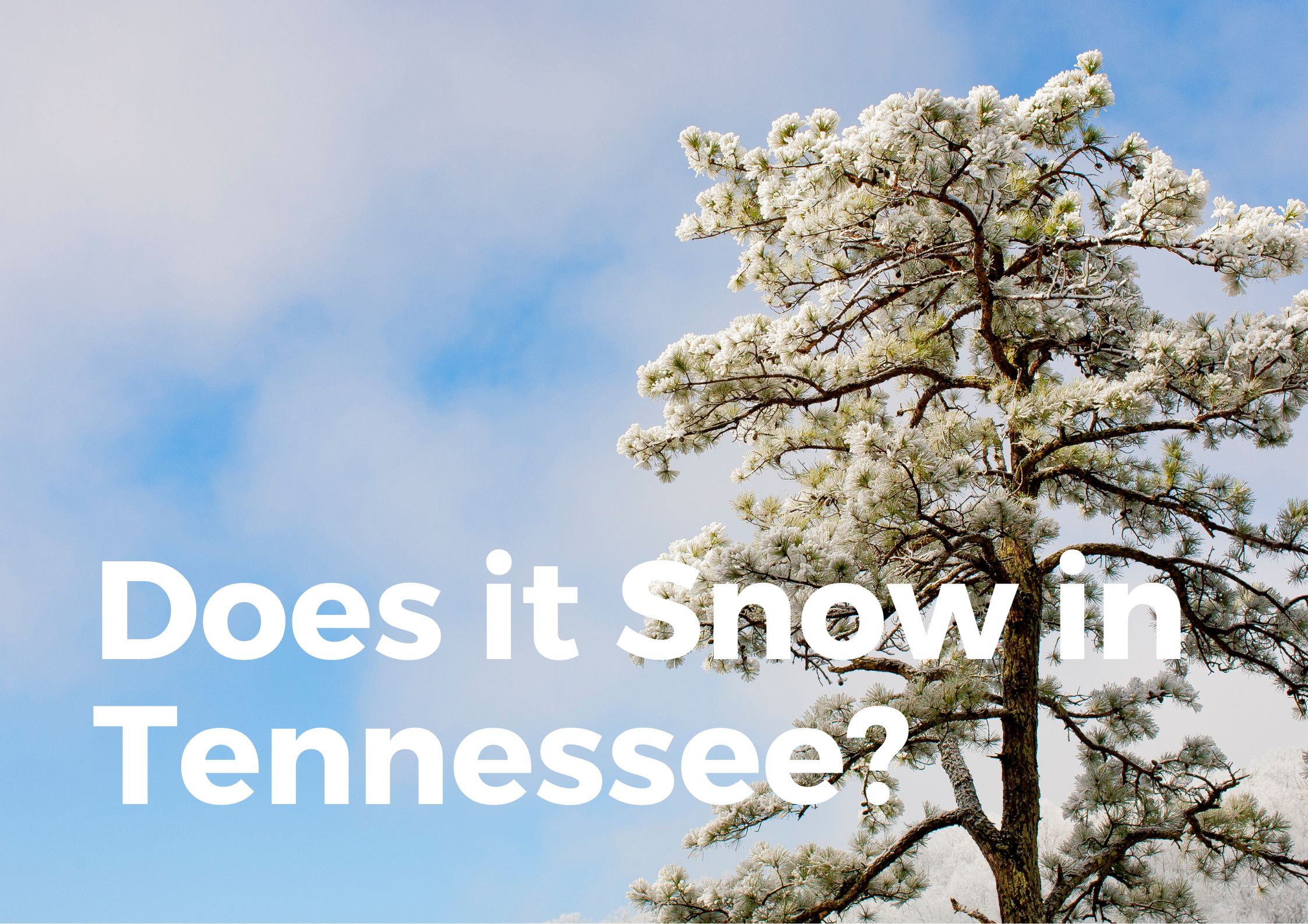 Does it Snow in Tennesse?