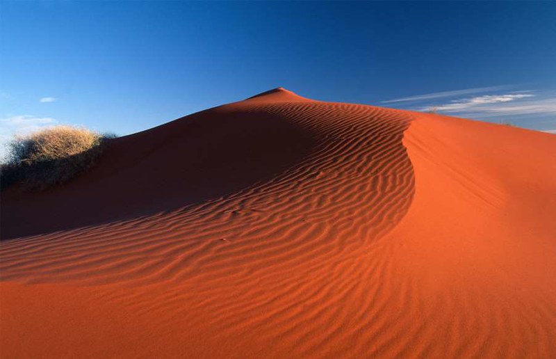 Sand dunes of Simpson Desert