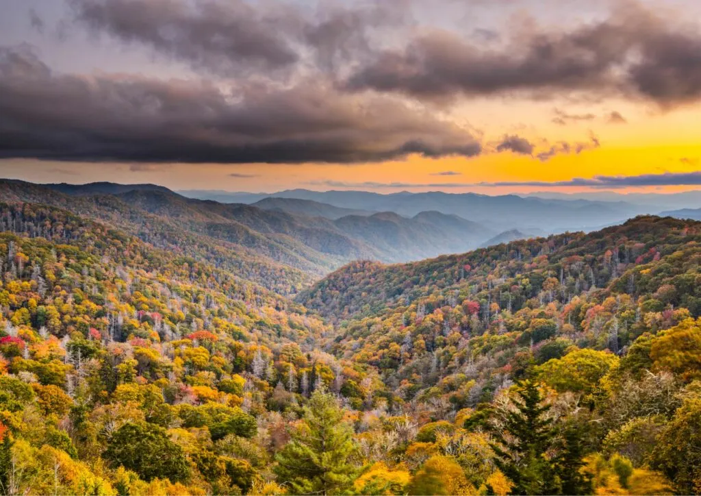 Smoky Mountains in Autumn