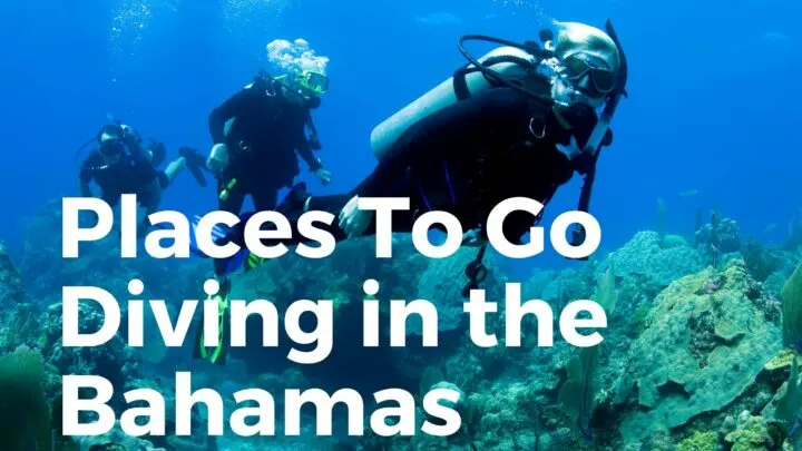 Bahamas Diving Spots