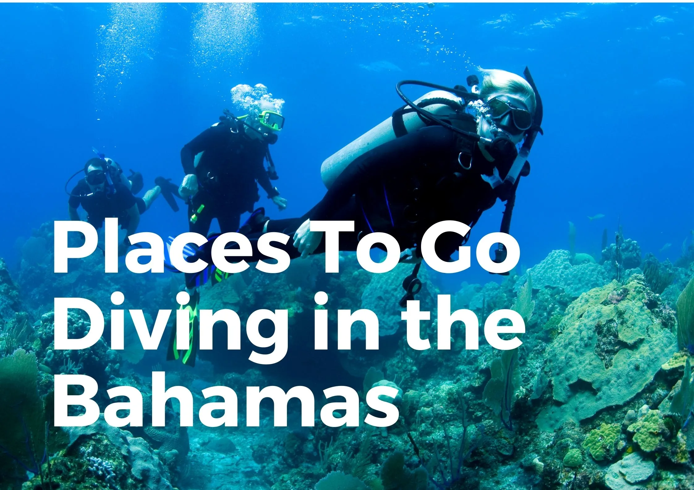 Bahamas Diving Spots