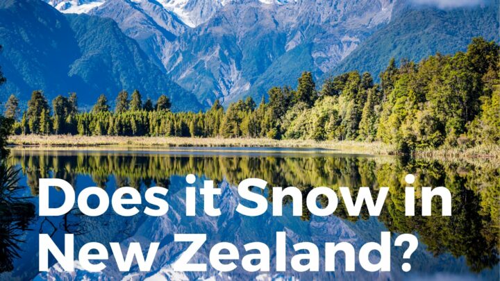 Does It Snow In New Zealand? (Explained!)