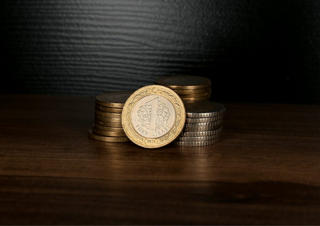Turkish Lira Coins