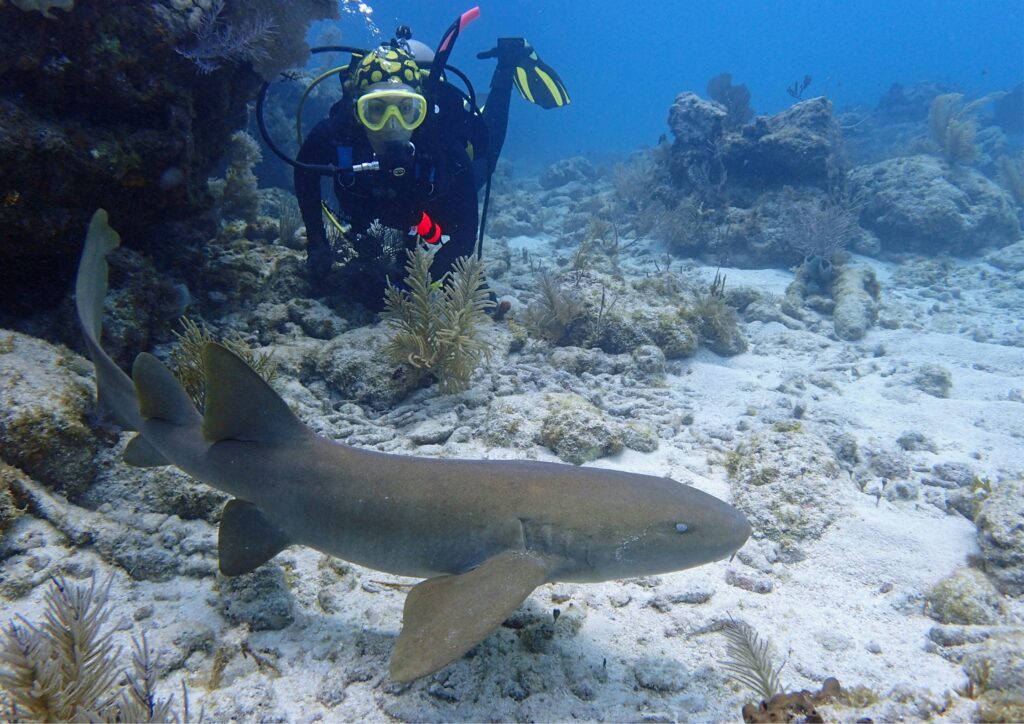 Woman diving with Shark