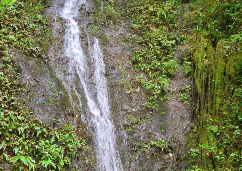 Aihualama Falls