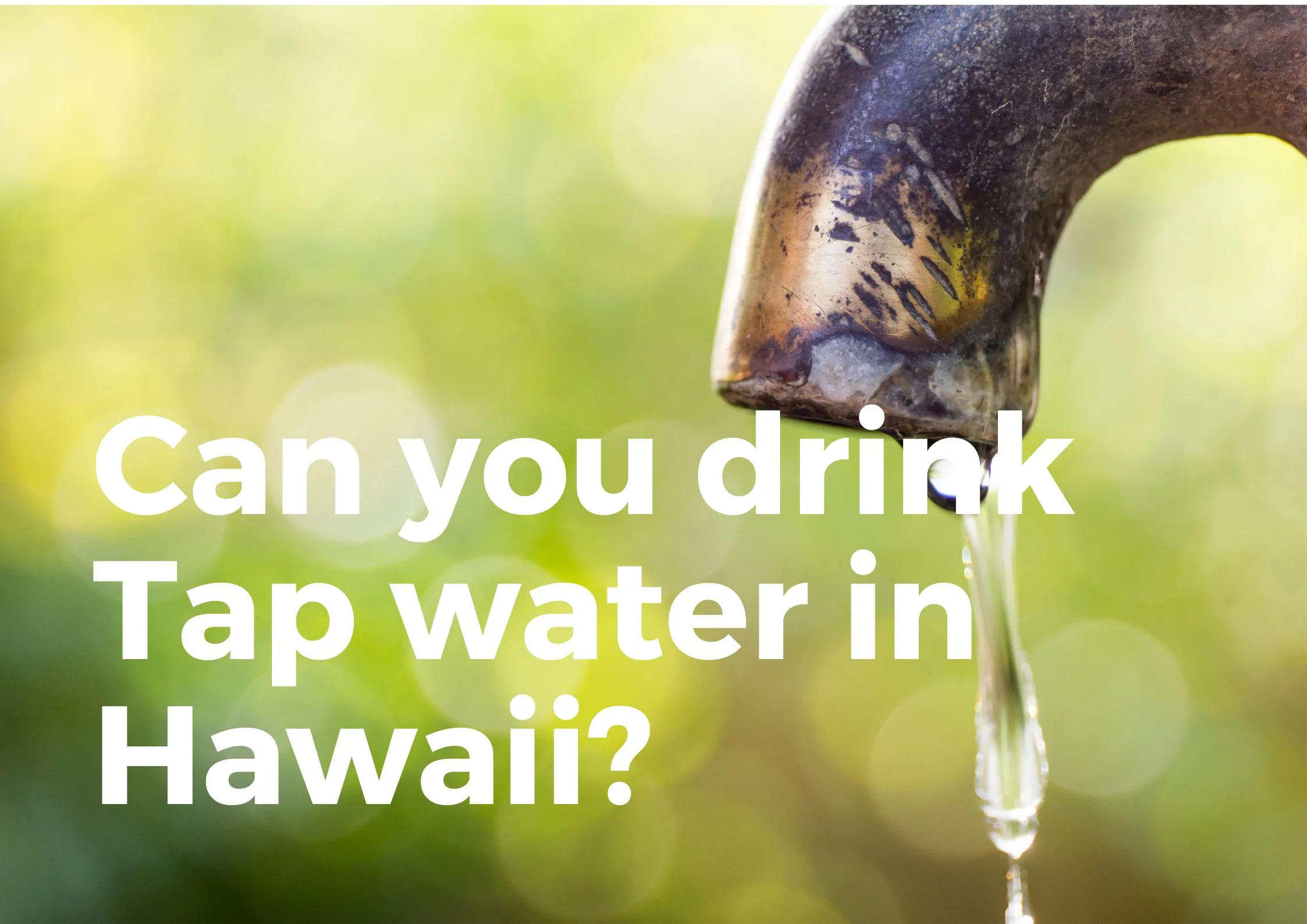 Can you drink Tap water in Hawaii?
