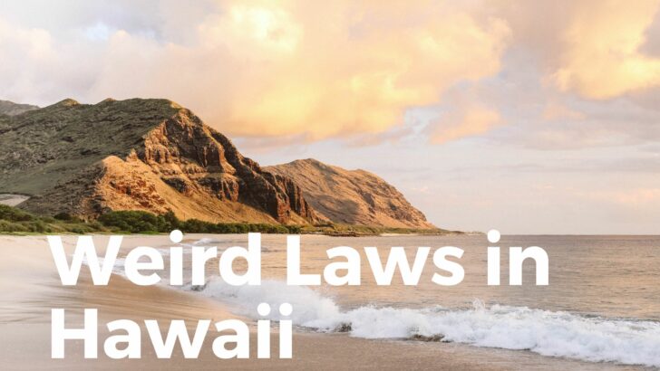 Weird Laws In Hawaii (You Will Be SURPRISED!)