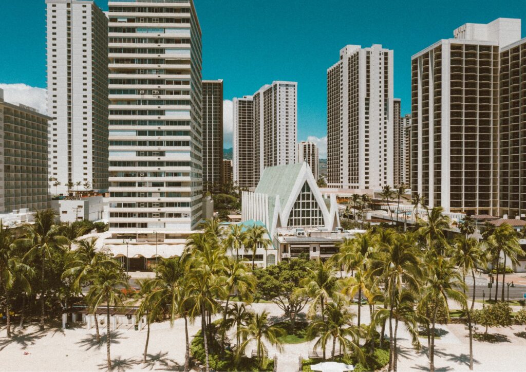 Hawaii Buildings and Palm Trees