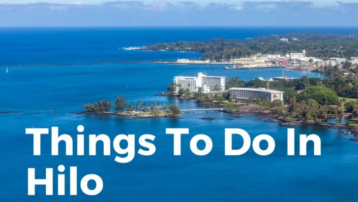 Things to do in Hilo