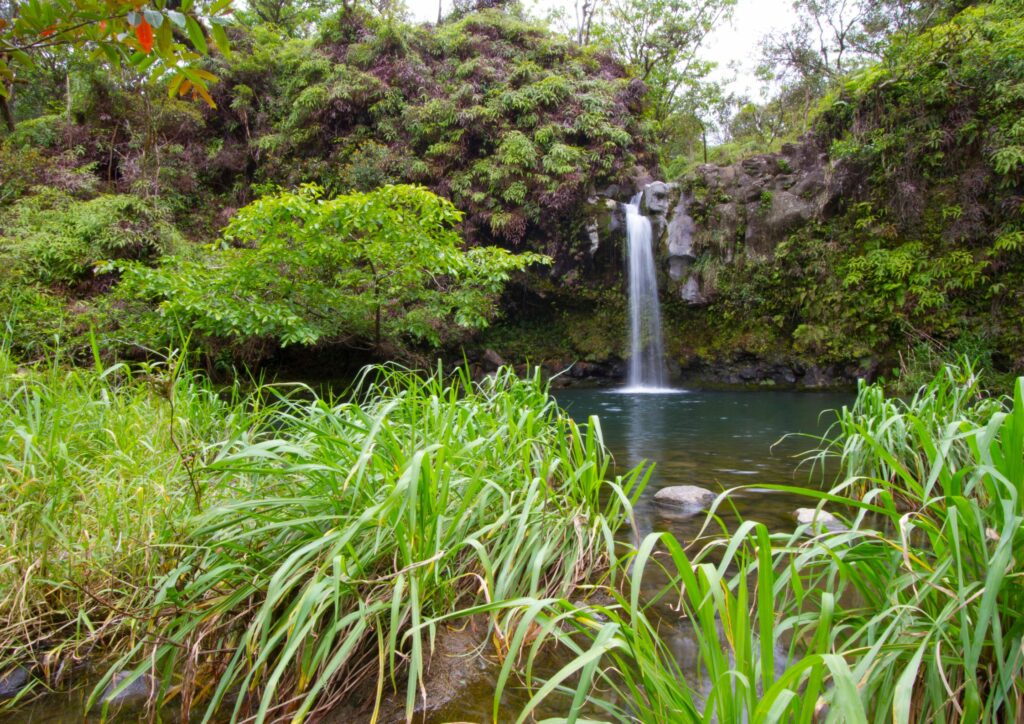 Pua’a Ka’a Waterfalls