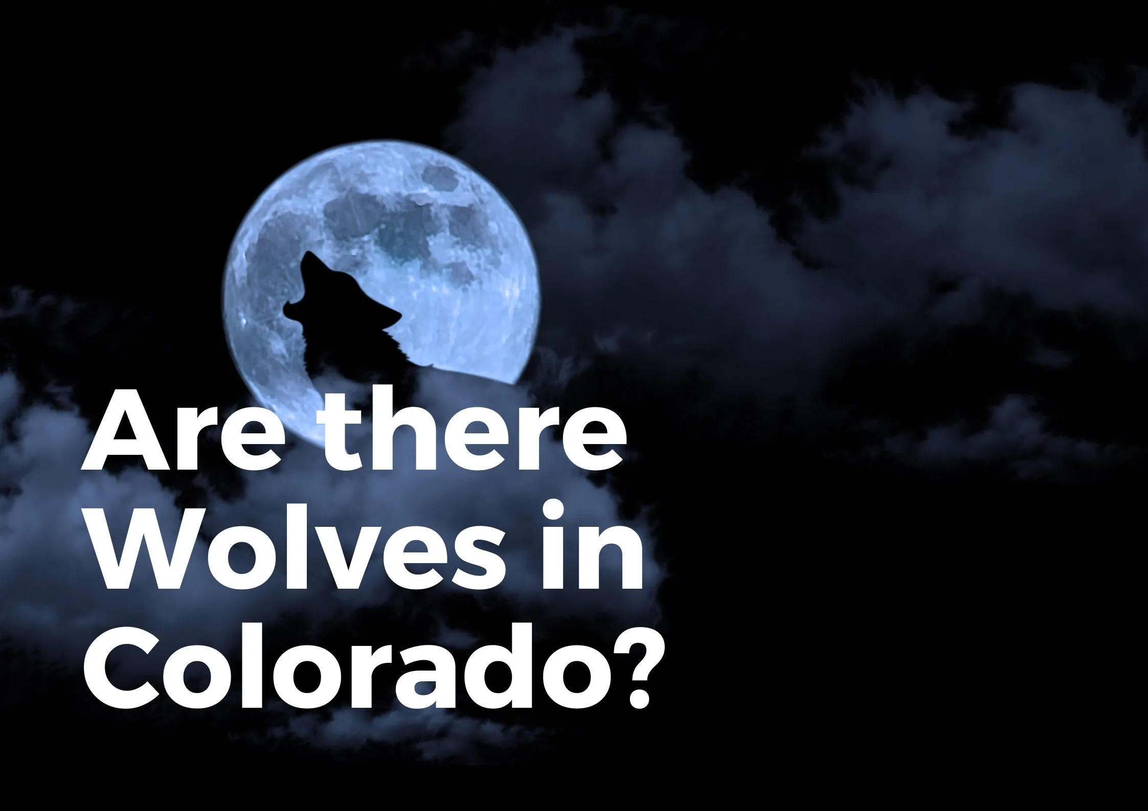 Are there wolves in Colorado