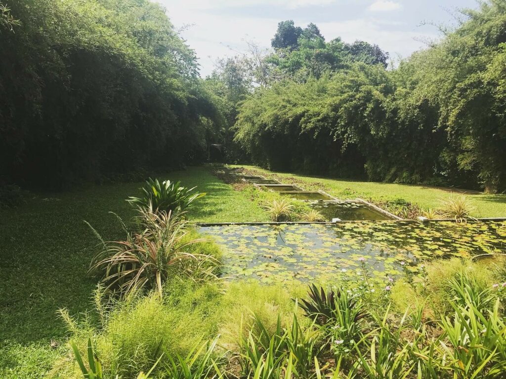 Brief Garden Terrace Pond